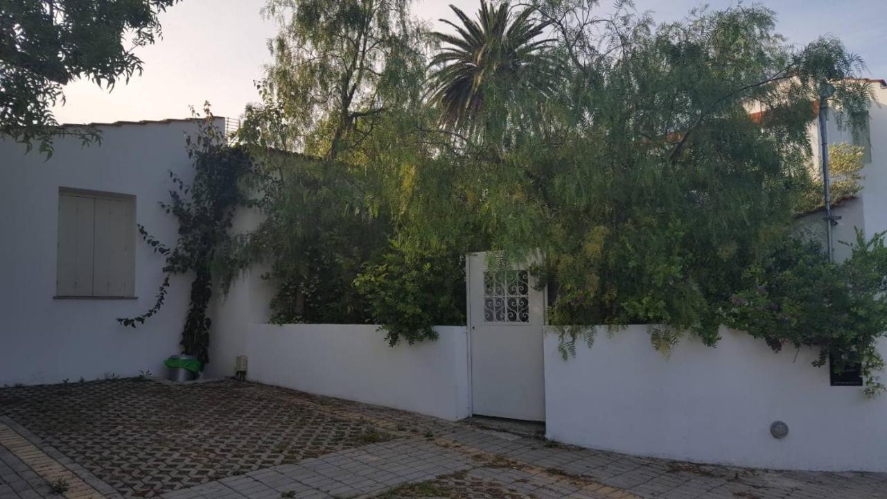Planitas Villas Скопелос Екстер'єр фото